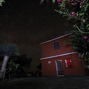 https://bodega-goyo.in-canary-islands.com